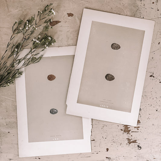 Antique Egg Bookplates
