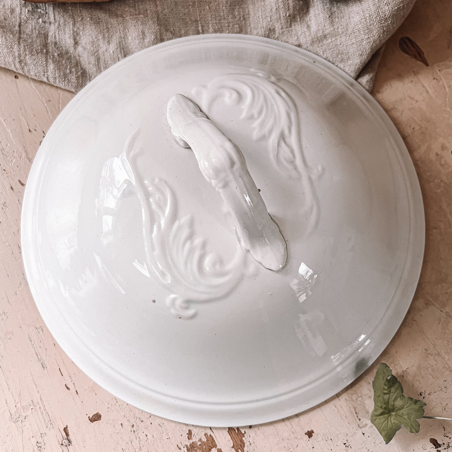 French Ironstone Lidded Tureen