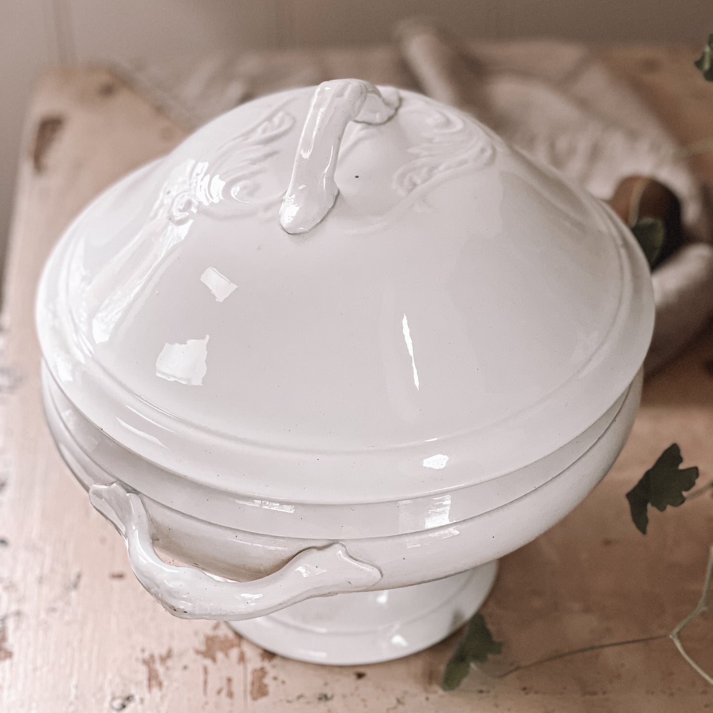 French Ironstone Lidded Tureen