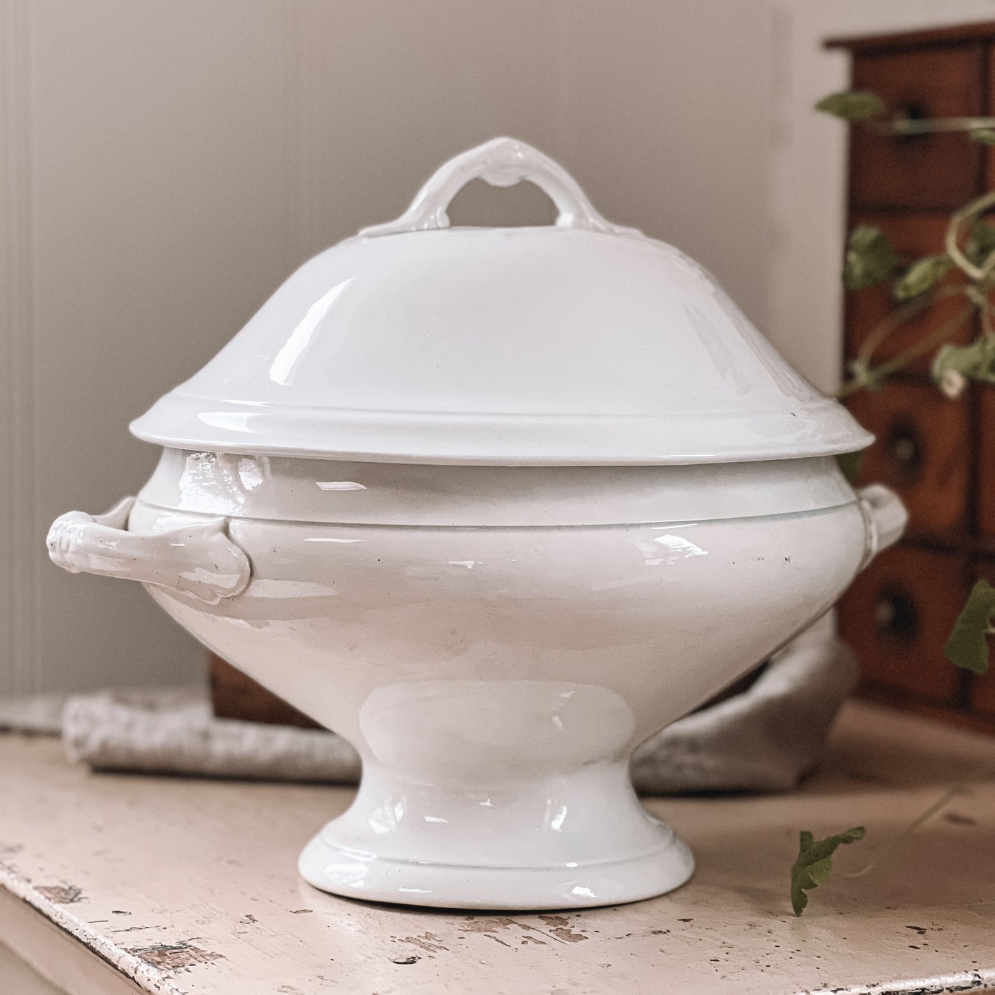 French Ironstone Lidded Tureen