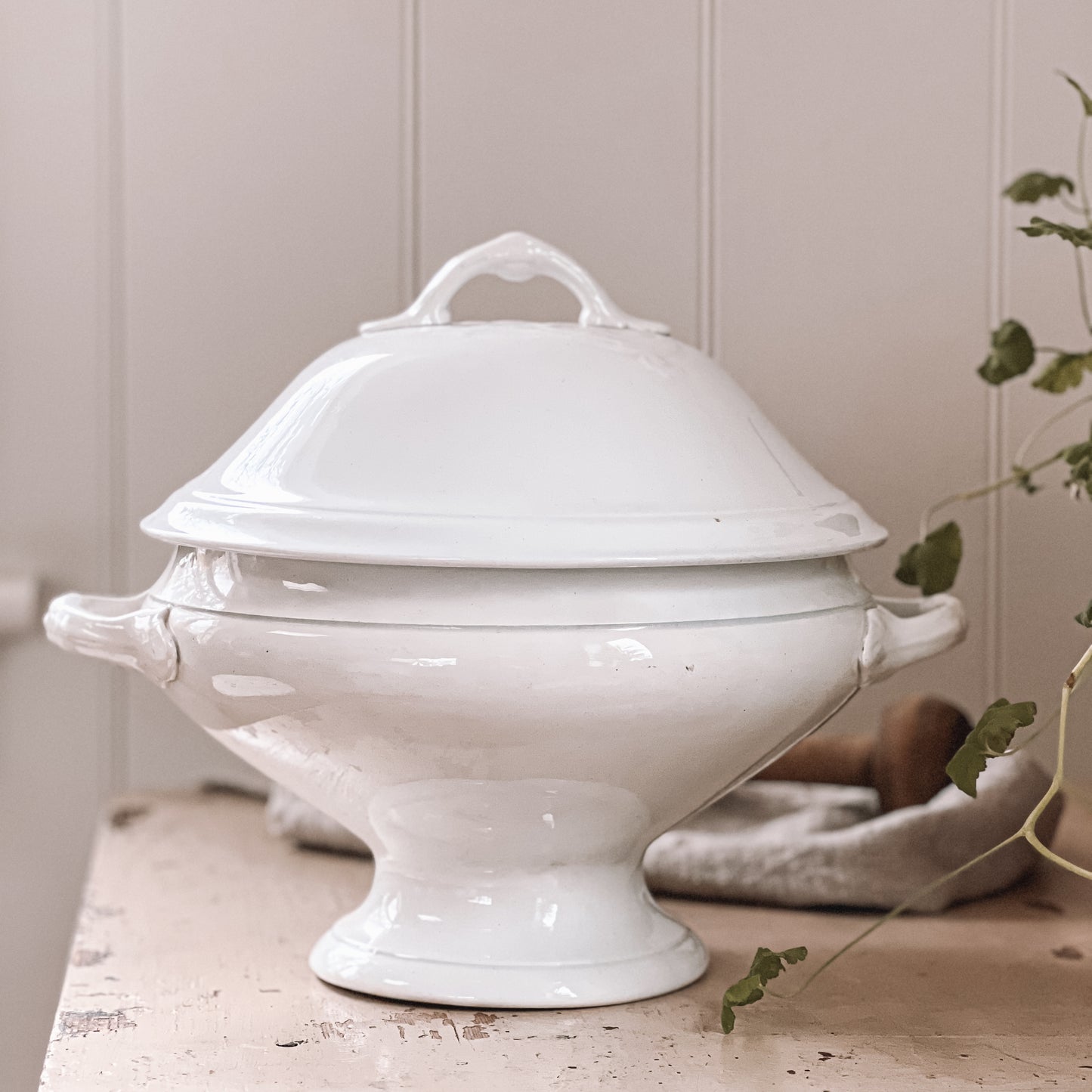 French Ironstone Lidded Tureen